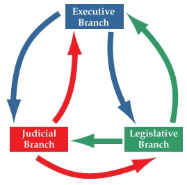 3 Branches