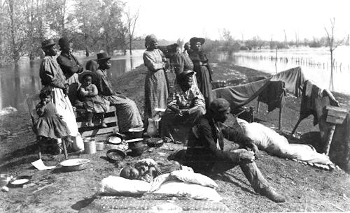 Black Homesteaders
