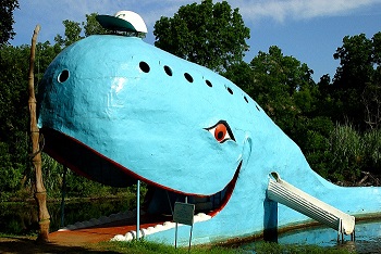 Blue Whale