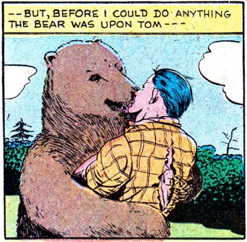 Bear Tom
