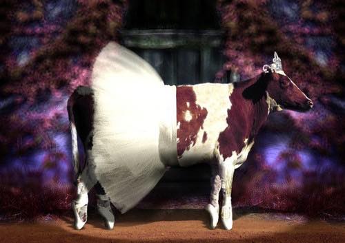 Cow in a Tutu