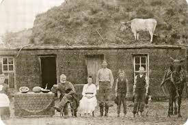 Homesteaders and a Cow on the Roof