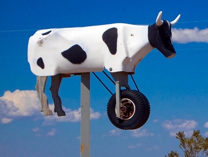 Sort of a Cow