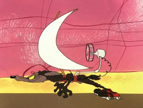 Coyote Sails