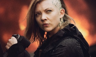 Cressida
