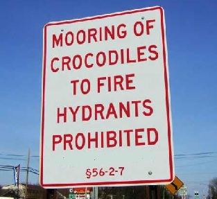 Mooring Crocodiles