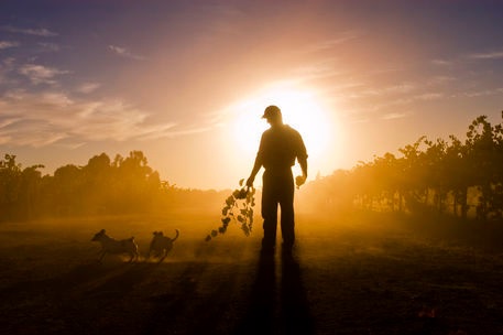 Chosen Farmer of God