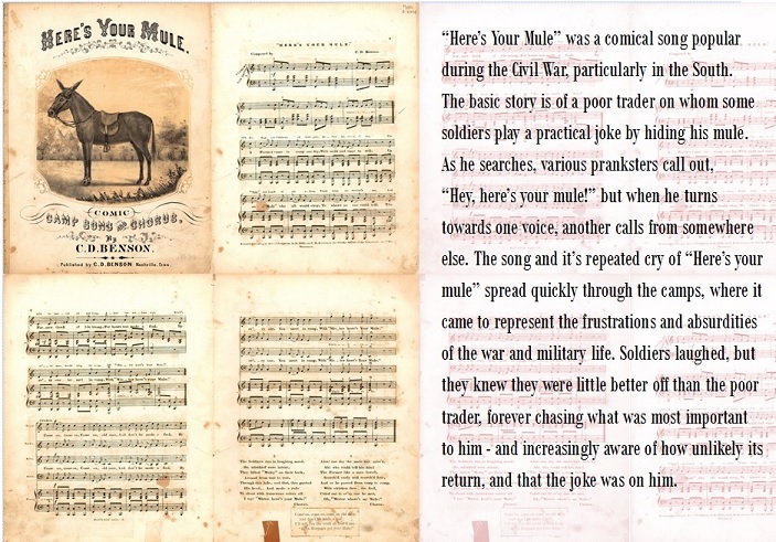 Here's Your Mule