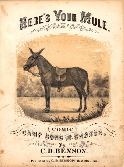 Heres Your Mule
