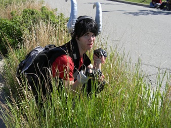 Hiding In The Grass