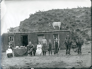Homesteaders