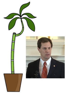 Jonah Bush