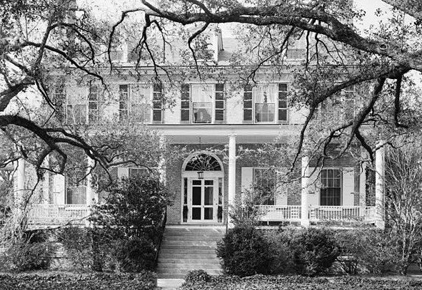Mulberry Plantation