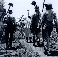 Sharecropping