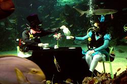 Underwater Tea Party