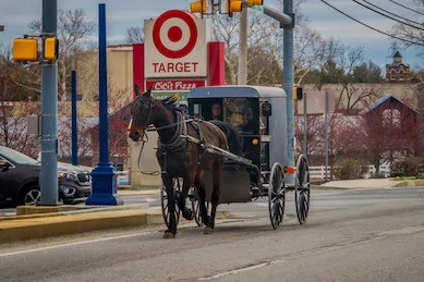 Amish Target